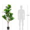 R201064 PLANTA ARTIFICIAL PANDURATA 1.68 MTS