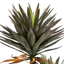 R201068 PLANTA ARTIFICIAL YUCCA GLORIOSA X2 1.40 MTS