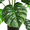 R201069 PLANTA ARTIFICAL MONSTERA 1.14 MTS