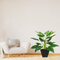 R201071 PLANTA ARTIFICIAL ALCATRAZ 95 CMS