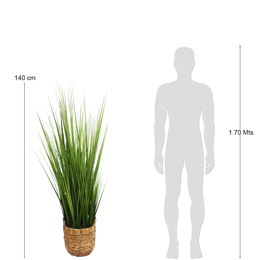R201078 PLANTA ARITIFICAL PASTO CEBOLLIN 140 CM