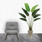 R201083 PLANTA ARTIFICIAL AVE DE PARAISO 8H 160CM