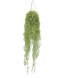 R201603 PLANTA ART CH COLGANTE 74CM