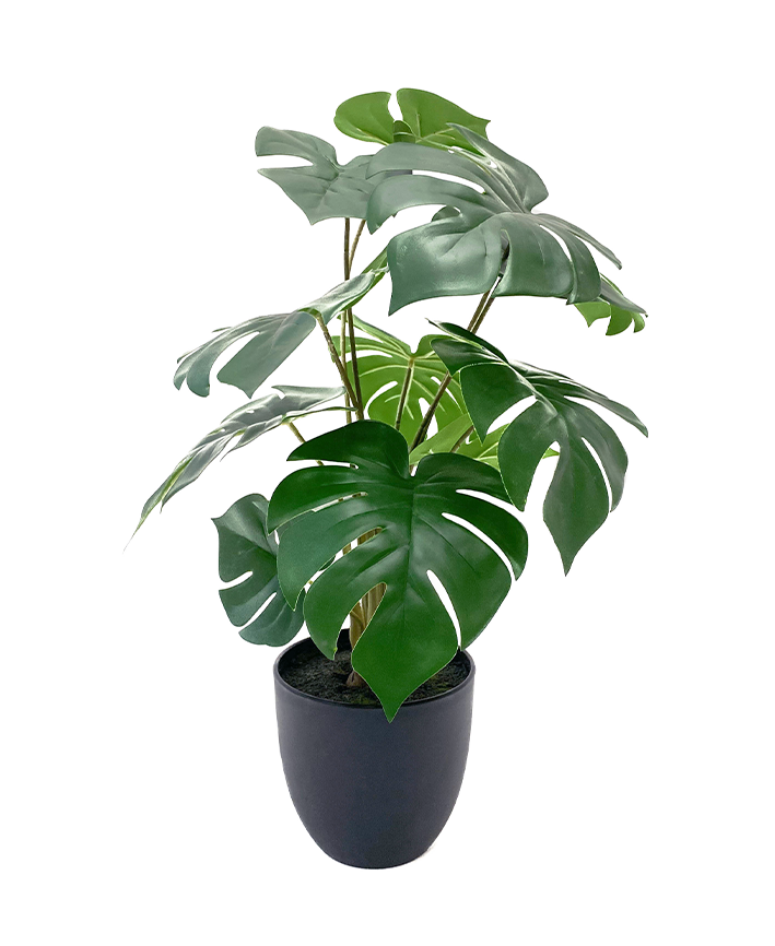 R201607 PLANTA ART CH MONSTERA 55 CM