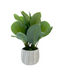 R201611 PLANTA ART CH CALATHEA 48 CM