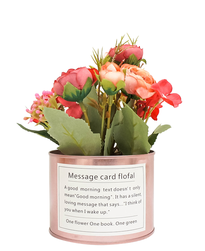 R202021 MINI PLANTA LAMINA PEONY  16 CMS