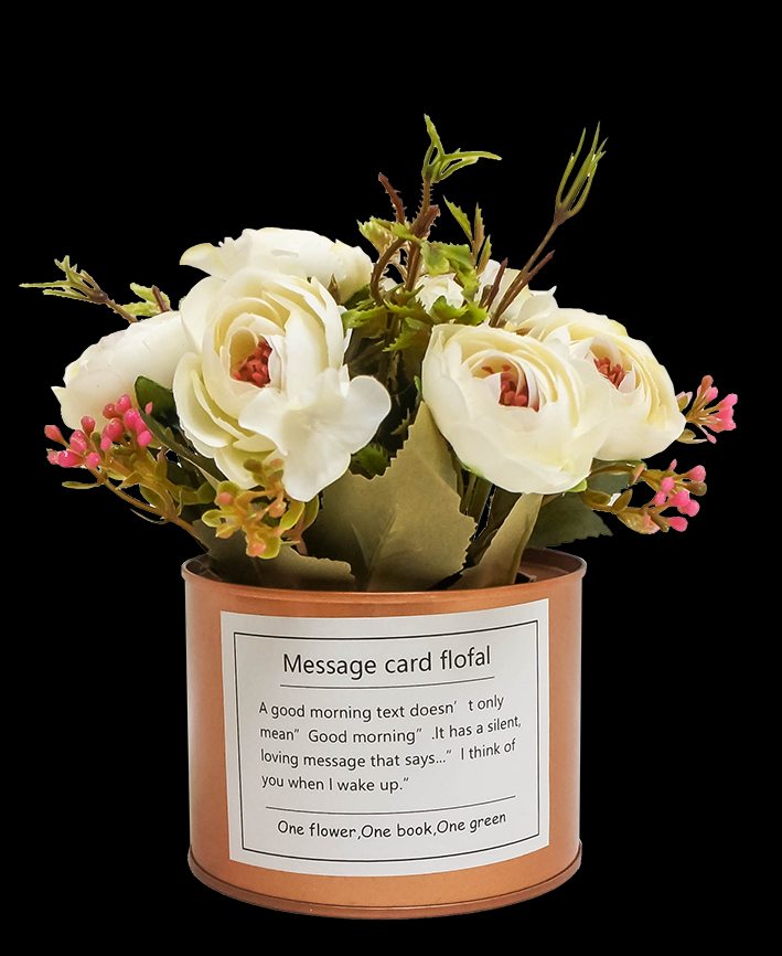 R202021 MINI PLANTA LAMINA PEONY  16 CMS