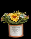 R202021 MINI PLANTA LAMINA PEONY  16 CMS