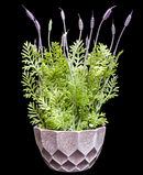 R202022 MINI PLANTA LAVANDA 28 CM