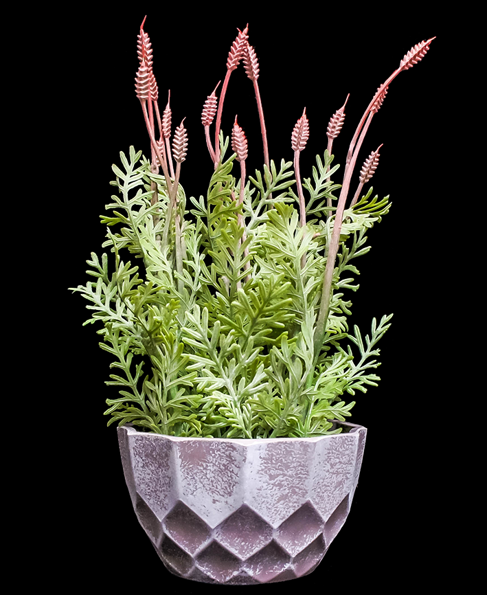 R202022 MINI PLANTA LAVANDA 28 CM