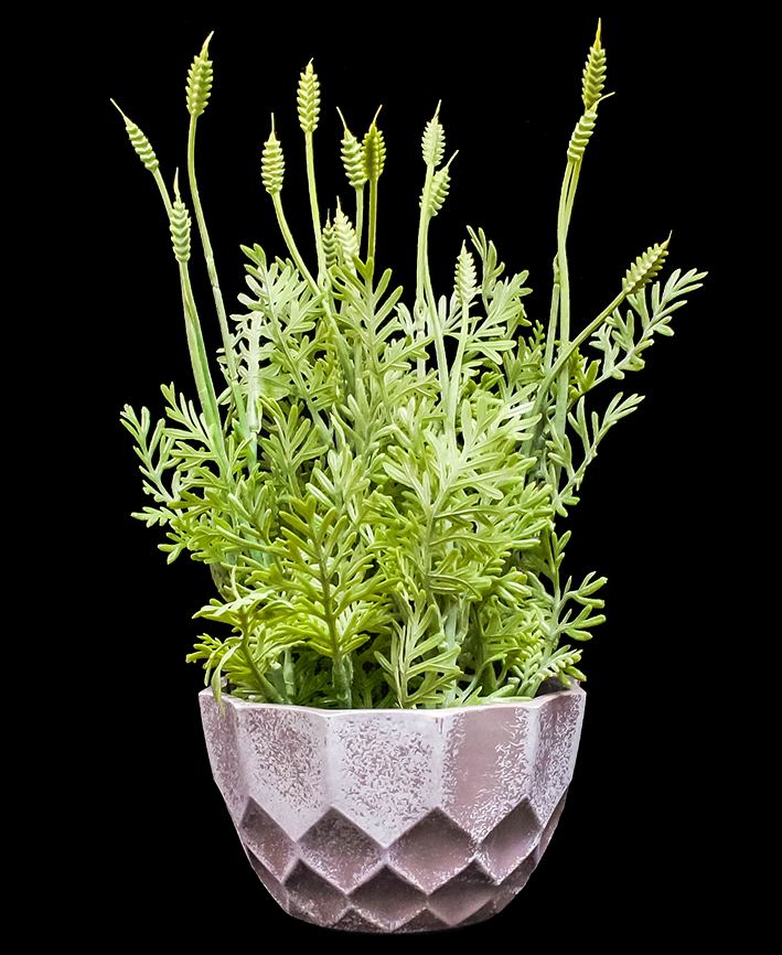R202022 MINI PLANTA LAVANDA 28 CM