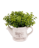 R202024 MINI PLANTA REGADERA FOLLAJE 16 CMS