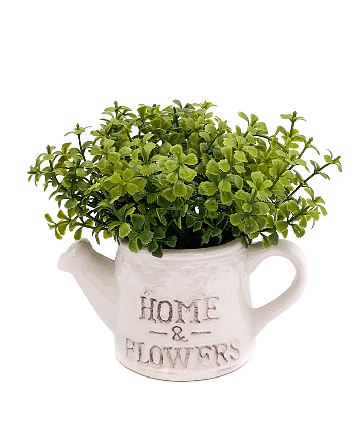 R202024 MINI PLANTA REGADERA FOLLAJE 16 CMS