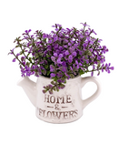 R202024 MINI PLANTA REGADERA FOLLAJE 16 CMS