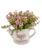 R202024 MINI PLANTA REGADERA FOLLAJE 16 CMS