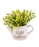 R202024 MINI PLANTA REGADERA FOLLAJE 16 CMS