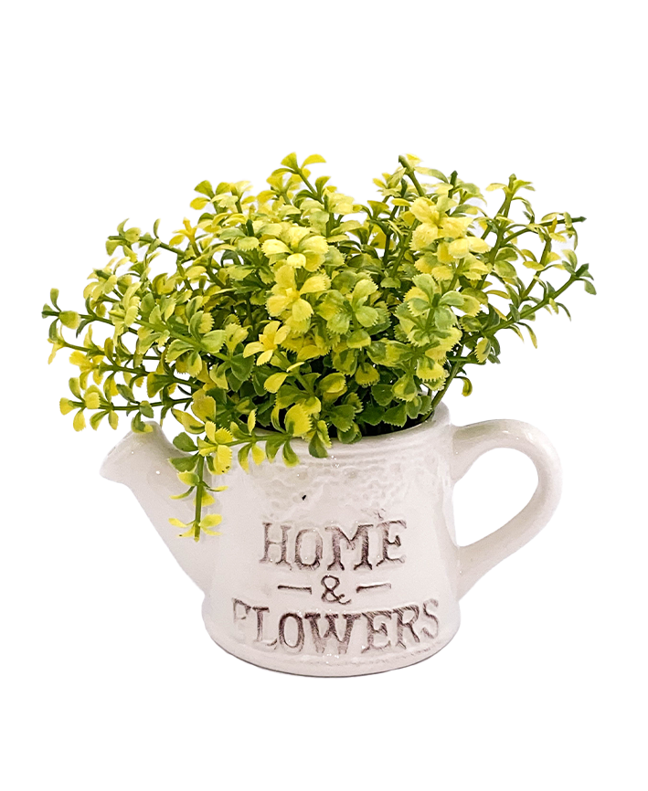 R202024 MINI PLANTA REGADERA FOLLAJE 16 CMS