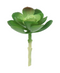 R203305-1 SUCULENTA FLOR 10 X 15 CM VERDE