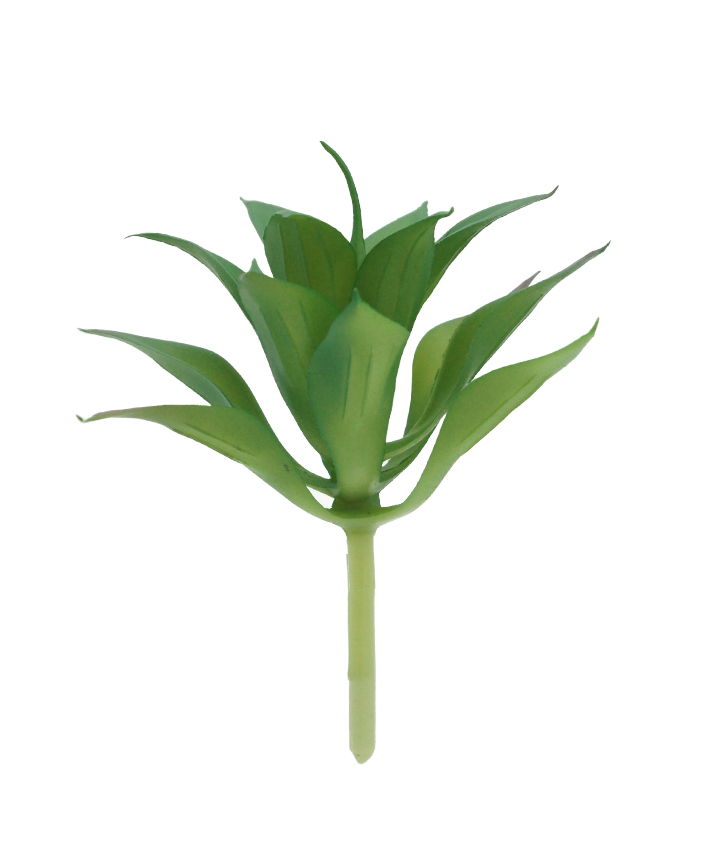 R203306-1 SUCULENTA ESTRELLA 15 X15 CM VERDE