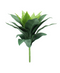 R203312-1 SUCULENTA AGAVE 30X25CM VERDE