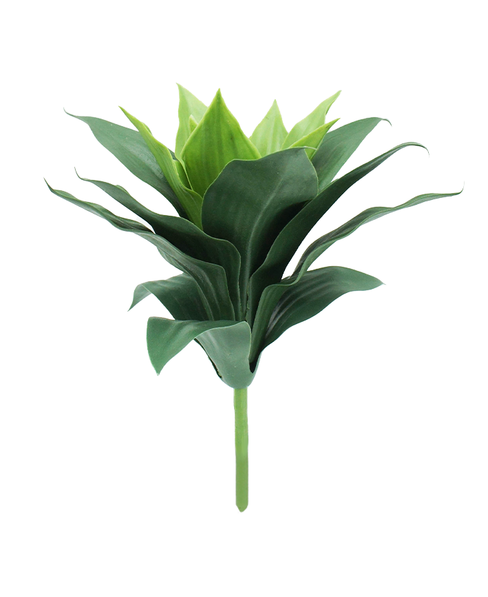 R203312-1 SUCULENTA AGAVE 30X25CM VERDE