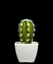 R203402 CACTUS MACETA VARIOS