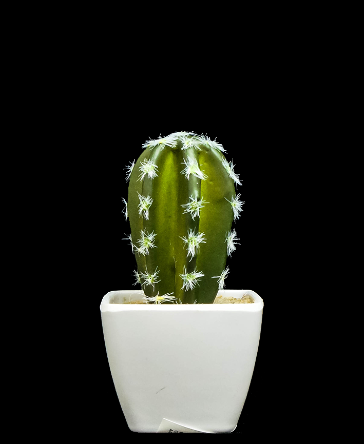 R203402 CACTUS MACETA VARIOS