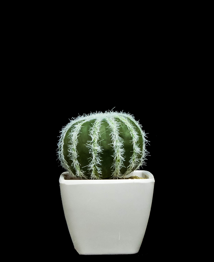 R203402 CACTUS MACETA VARIOS