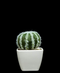 R203402 CACTUS MACETA VARIOS