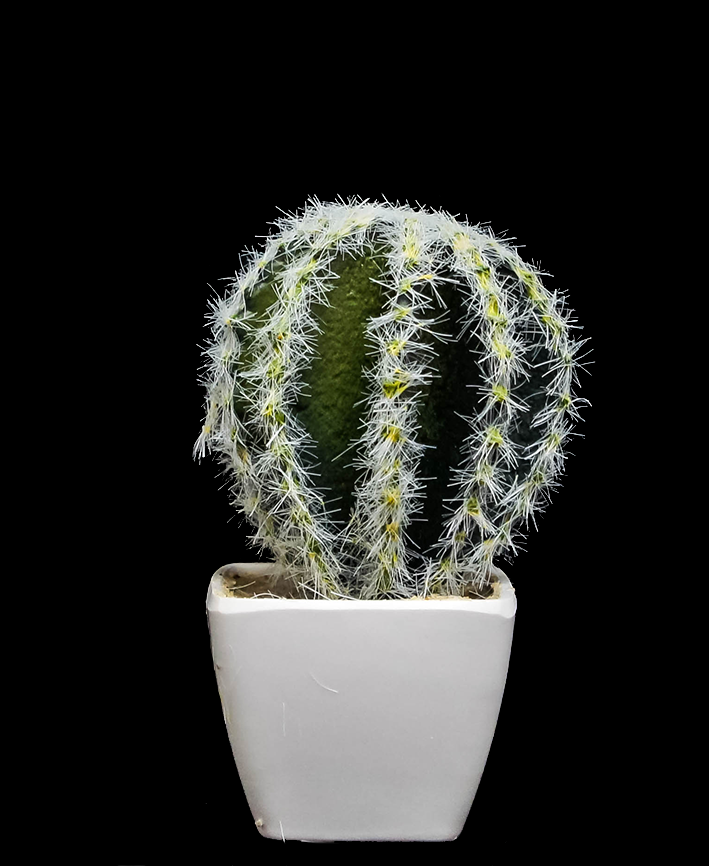 R203402 CACTUS MACETA VARIOS
