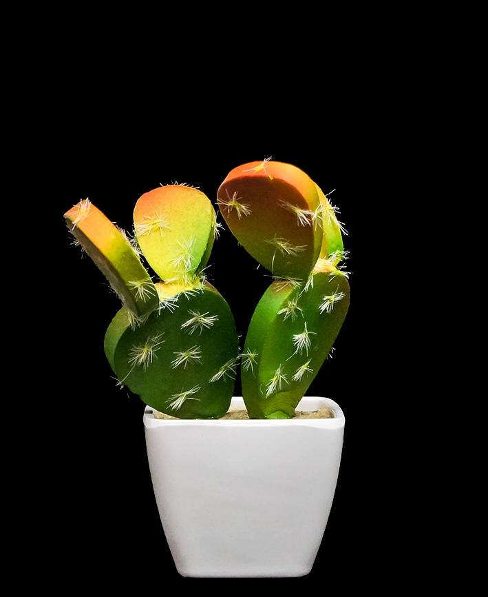 R203402 CACTUS MACETA VARIOS