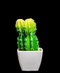 R203402 CACTUS MACETA VARIOS