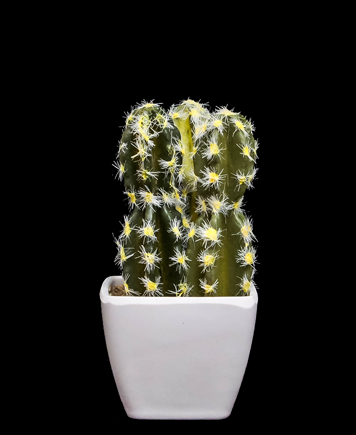 R203402 CACTUS MACETA VARIOS