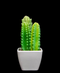R203402 CACTUS MACETA VARIOS
