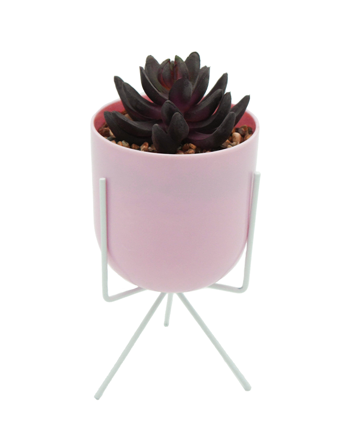 R203403 MINIPLANTA SUCULENTA MACETA TRIPIE 10 X 22 CM