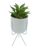 R203403 MINIPLANTA SUCULENTA MACETA TRIPIE 10 X 22 CM