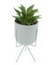 R203403 MINIPLANTA SUCULENTA MACETA TRIPIE 10 X 22 CM