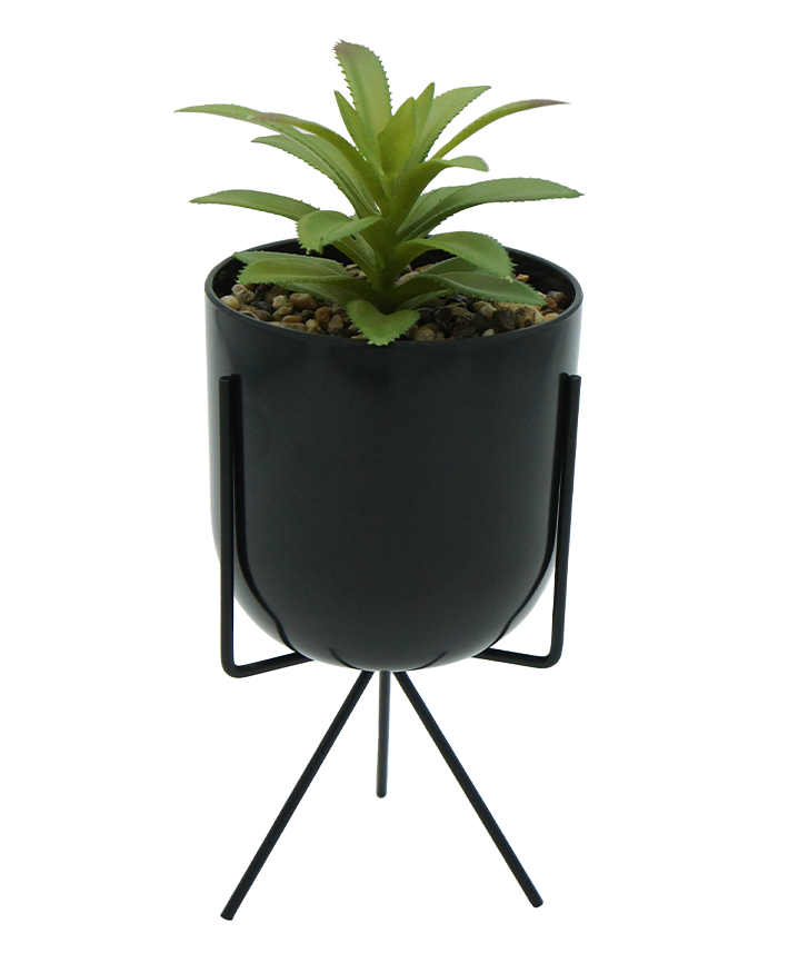 R203403 MINIPLANTA SUCULENTA MACETA TRIPIE 10 X 22 CM