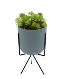 R203403 MINIPLANTA SUCULENTA MACETA TRIPIE 10 X 22 CM