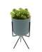 R203403 MINIPLANTA SUCULENTA MACETA TRIPIE 10 X 22 CM
