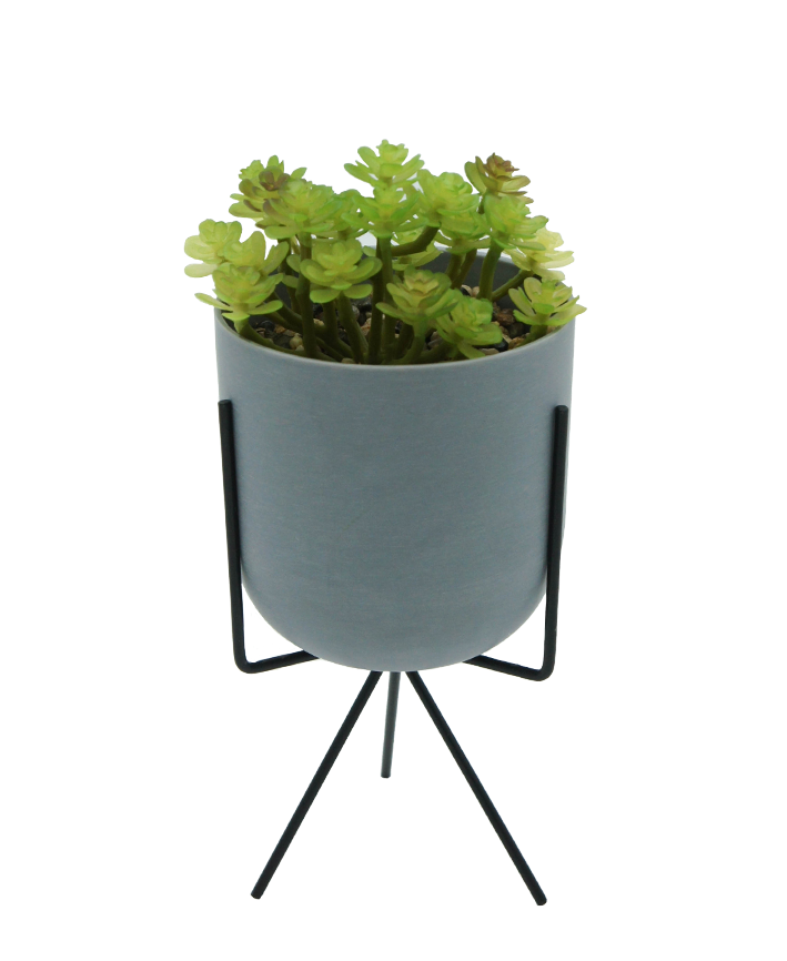 R203403 MINIPLANTA SUCULENTA MACETA TRIPIE 10 X 22 CM
