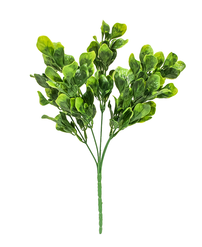 R204001 FOLLAJE HOJA LECHUGA