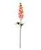 R205009 VARA DELFINIUM 85 CMS