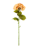 R205020 VARA HORTENSIA FINA 78 CM