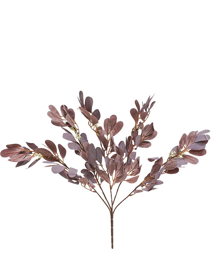 R205021 FOLLAJE LENGUA  49 CM