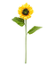 R205026 VARA GIRASOL 67 CM AMARILLO