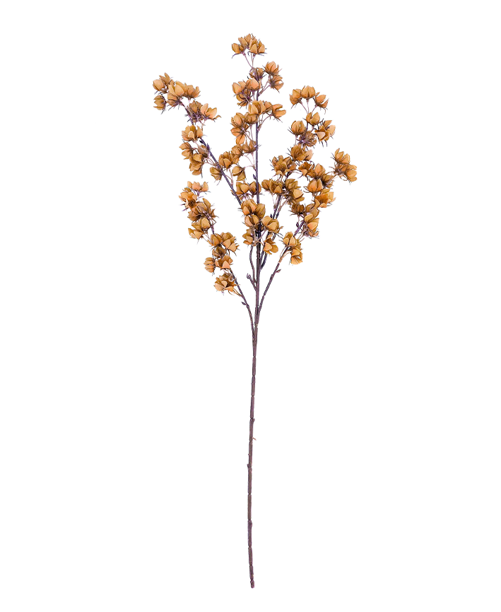 R205033 VARA TOMATILLO 80CM
