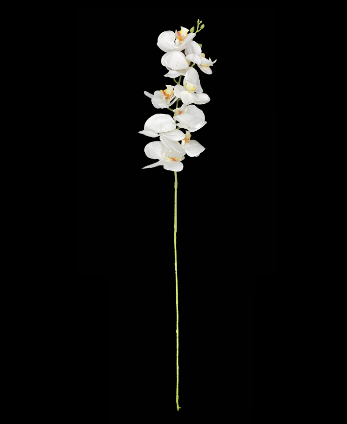 R205035 VARA ORQUIDEA RT 95CM