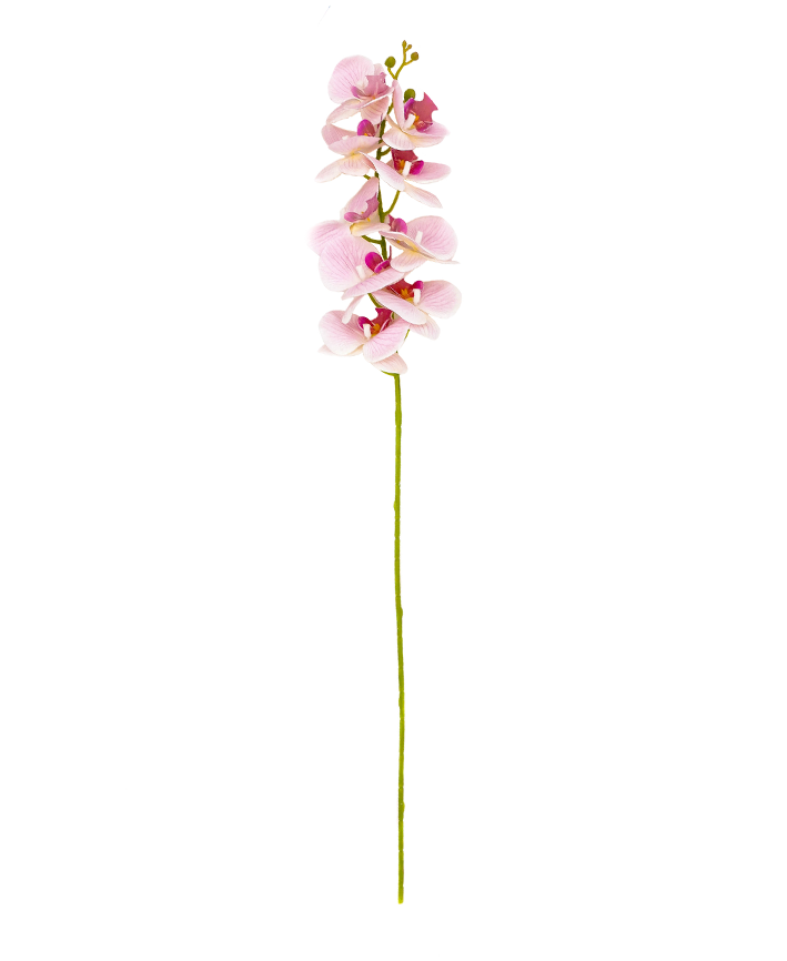 R205035 VARA ORQUIDEA RT 95CM