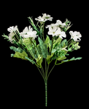 R205109 RAMO ROSAL DAISY 35 CMS